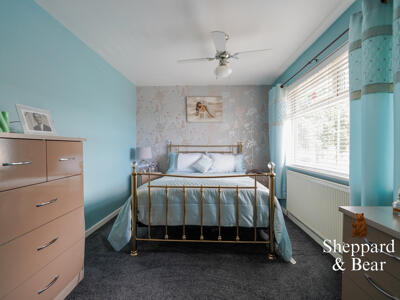 Picture 12